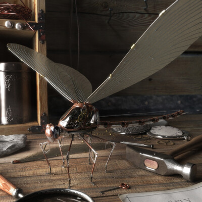DragONtFLY#2
