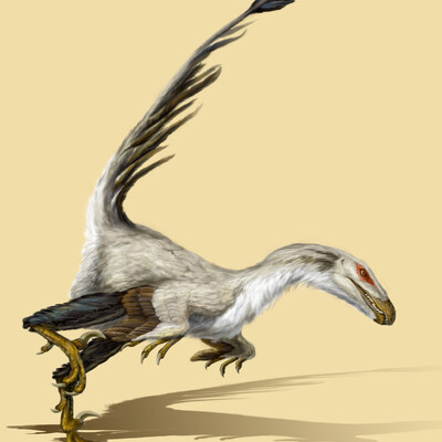 Saurornitolestes, реконструкция