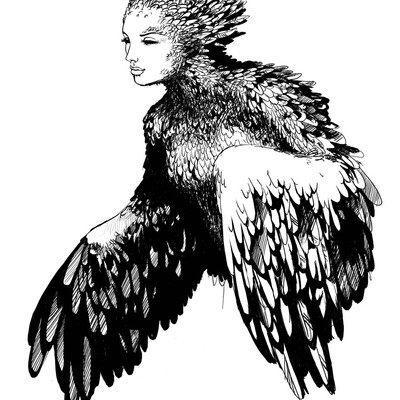 ledy-bird